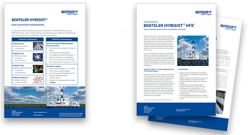 Preview_Download_en Preview_Download_en